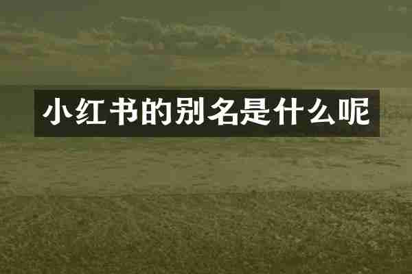 小红书的别名是什么呢