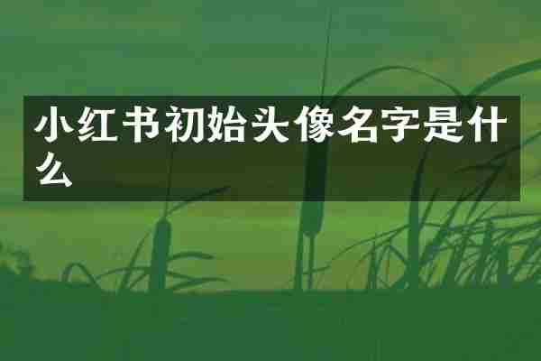 小红书初始头像名字是什么