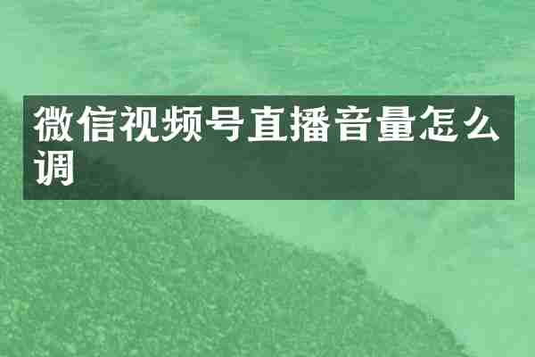微信视频号直播音量怎么调