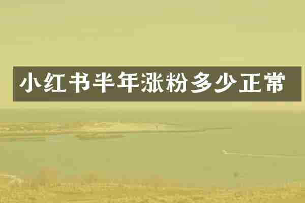 小红书半年涨粉多少正常