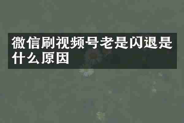 微信刷视频号老是闪退是什么原因