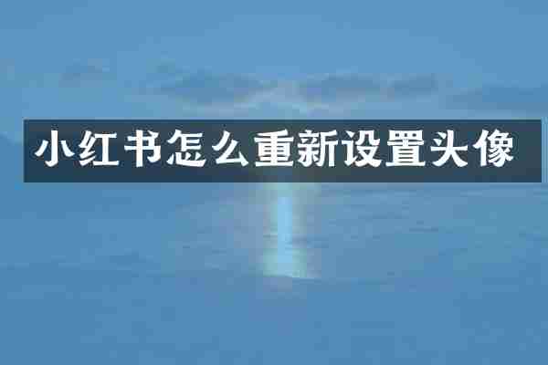 小红书怎么重新设置头像
