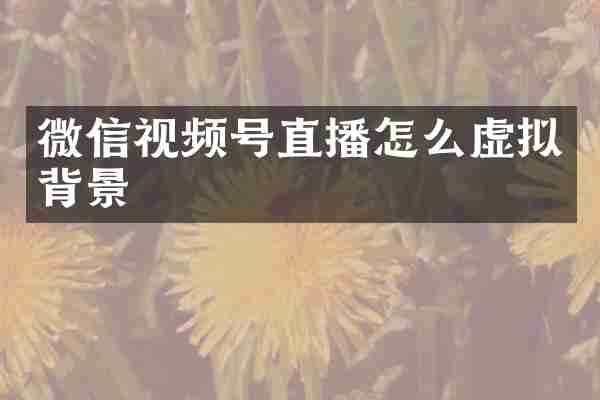 微信视频号直播怎么虚拟背景