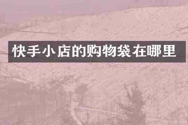快手小店的购物袋在哪里