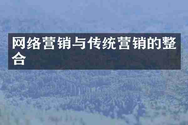 网络营销与传统营销的整合