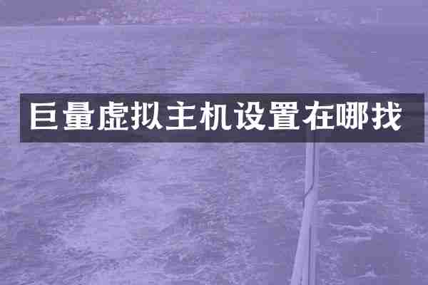 巨量虚拟主机设置在哪找