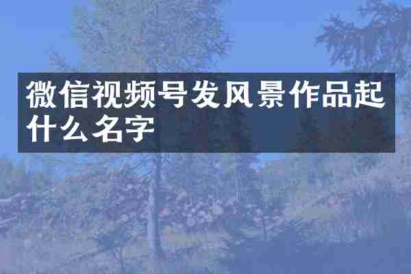微信视频号发风景作品起什么名字