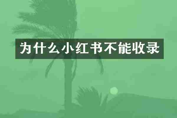 为什么小红书不能收录