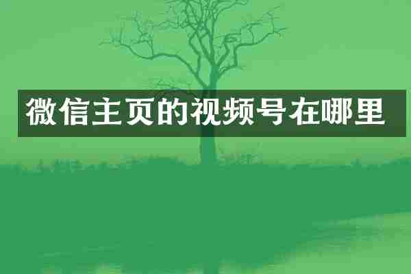 微信主页的视频号在哪里