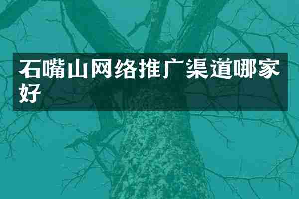 石嘴山网络推广渠道哪家好