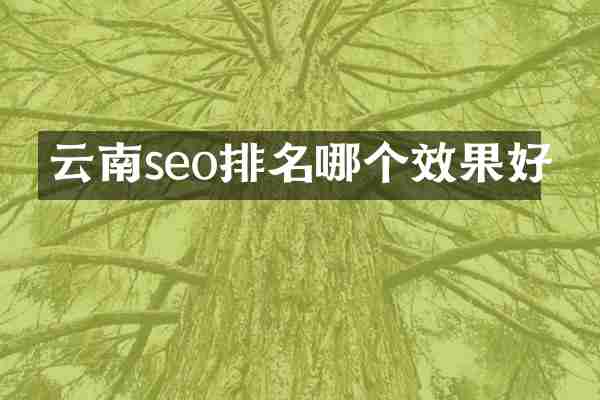 云南seo排名哪个效果好