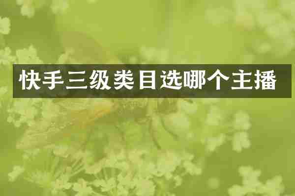 快手三级类目选哪个主播