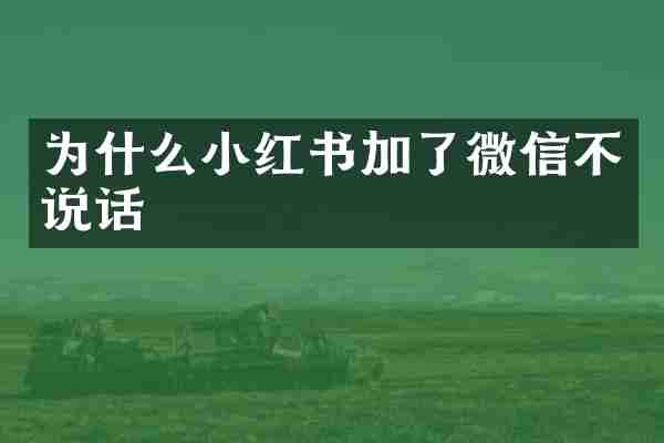 为什么小红书加了微信不说话