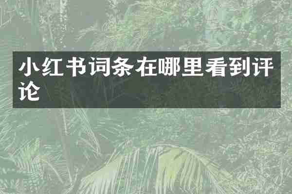 小红书词条在哪里看到评论