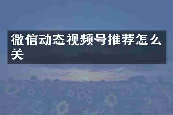 微信动态视频号推荐怎么关