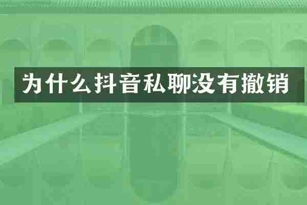 为什么抖音私聊没有撤销