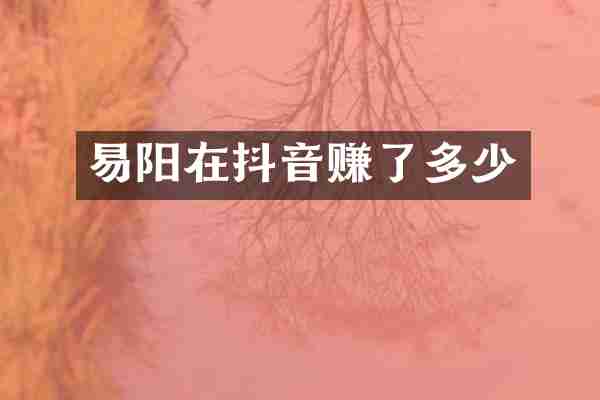 易阳在抖音赚了多少