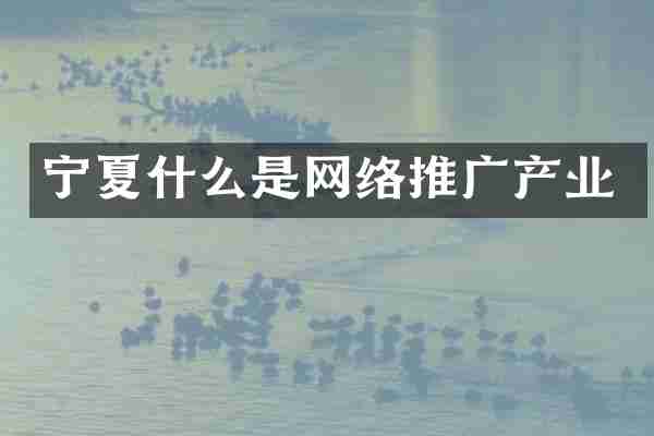 宁夏什么是网络推广产业