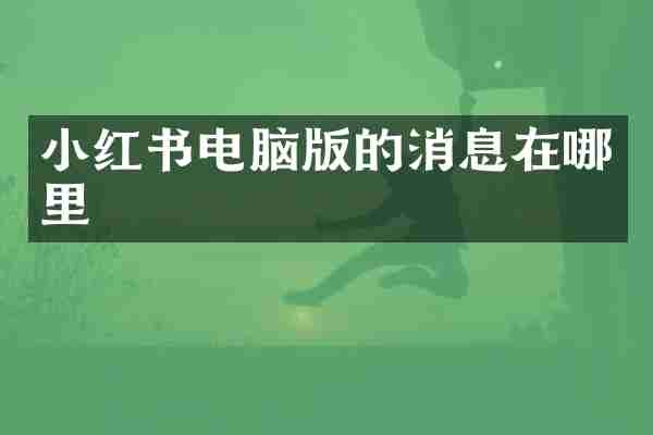 小红书电脑版的消息在哪里