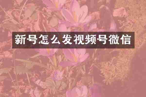 新号怎么发视频号微信