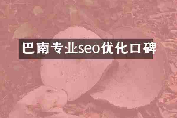 巴南专业seo优化口碑