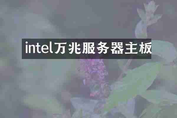 intel万兆服务器主板
