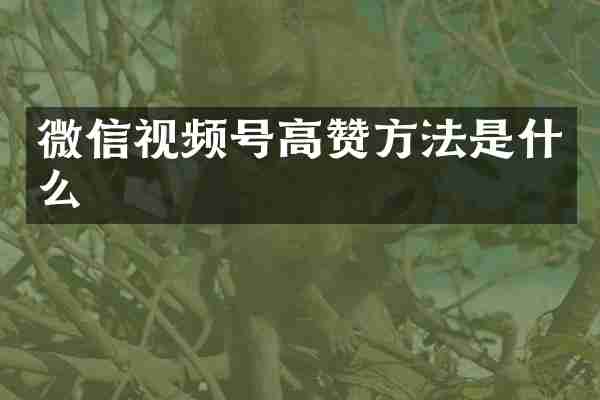 微信视频号高赞方法是什么
