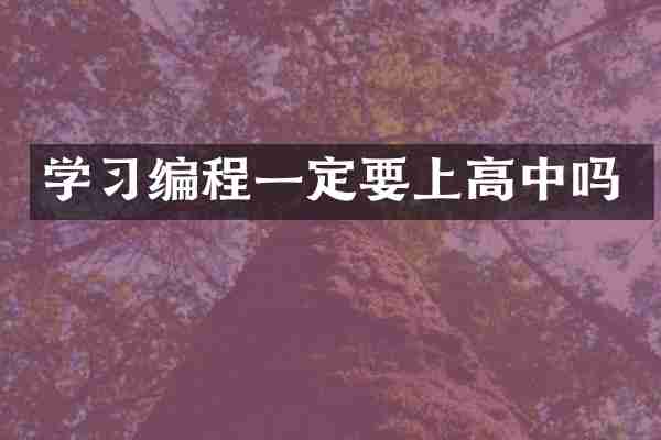 学习编程一定要上高中吗