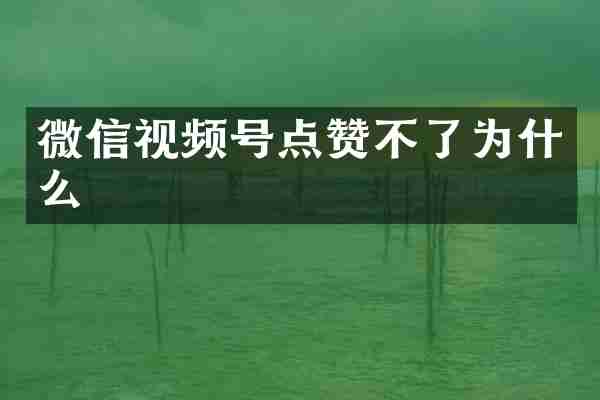 微信视频号点赞不了为什么