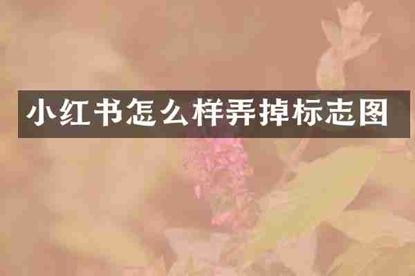 小红书怎么样弄掉标志图