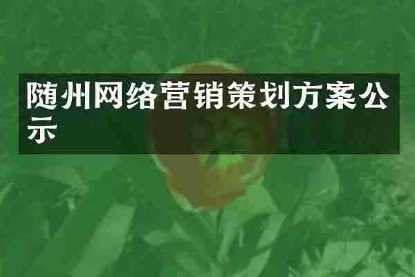 随州网络营销策划方案公示