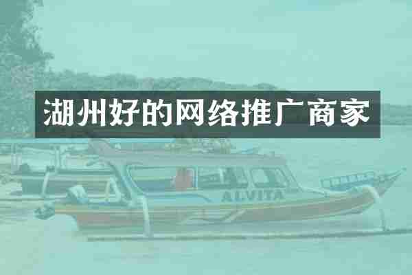 湖州好的网络推广商家