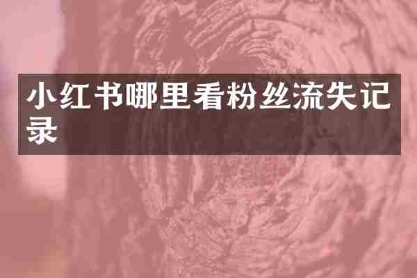 小红书哪里看粉丝流失记录