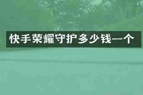 快手荣耀守护多少钱一个