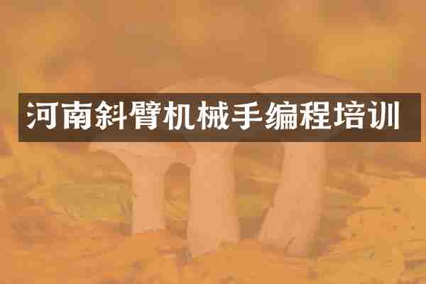 河南斜臂机械手编程培训