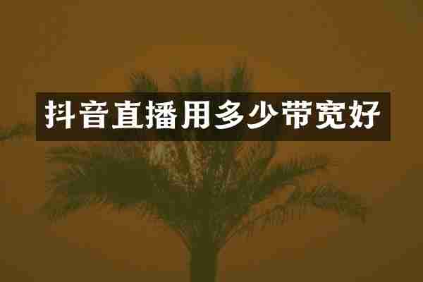 抖音直播用多少带宽好