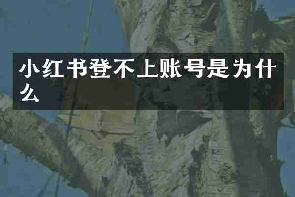 小红书登不上账号是为什么