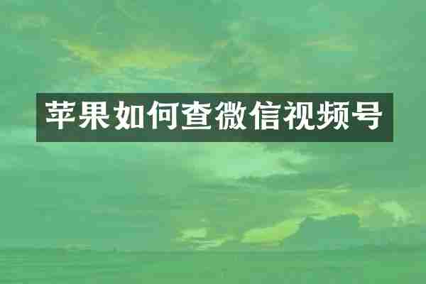 苹果如何查微信视频号