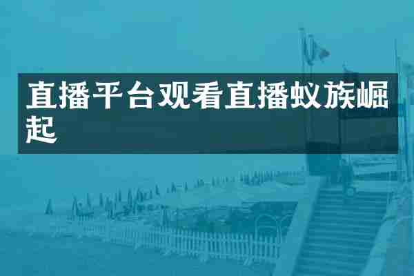 直播平台观看直播蚁族崛起