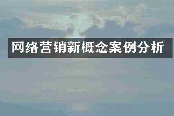网络营销新概念案例分析