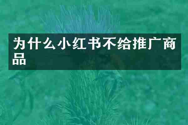 为什么小红书不给推广商品