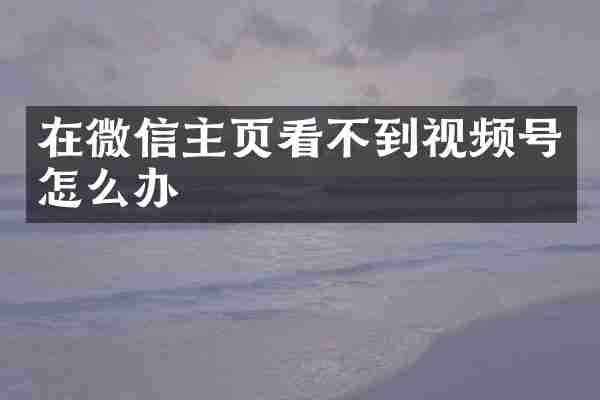 在微信主页看不到视频号怎么办