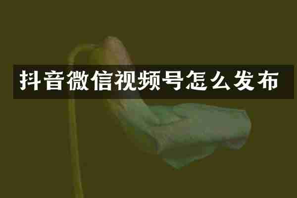 抖音微信视频号怎么发布