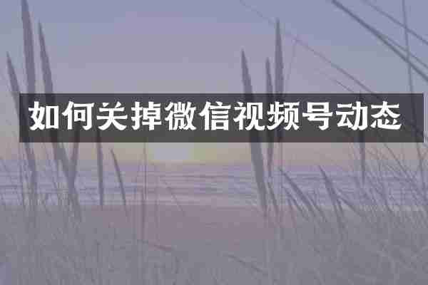如何关掉微信视频号动态