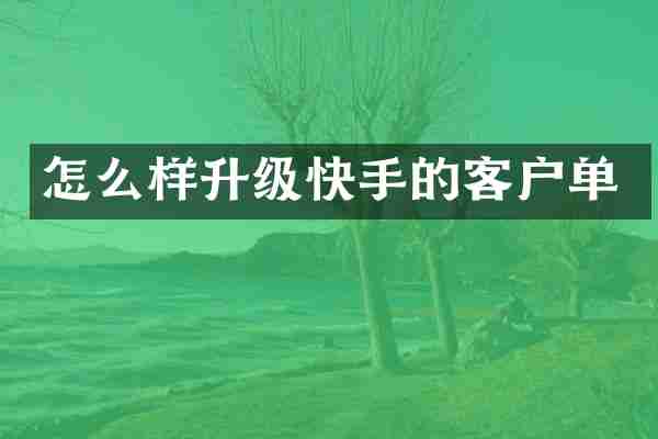 怎么样升级快手的客户单