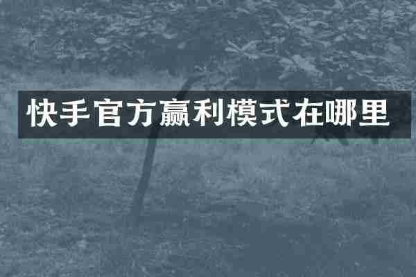 快手官方赢利模式在哪里