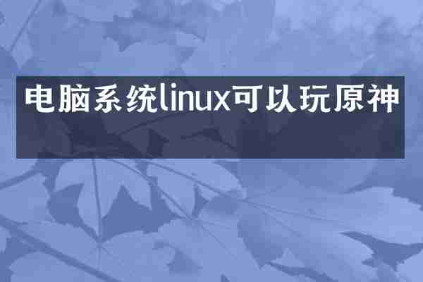 电脑系统linux可以玩原神吗