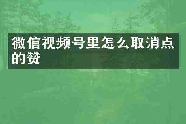 微信视频号里怎么取消点的赞