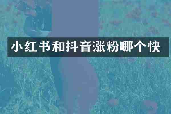 小红书和抖音涨粉哪个快