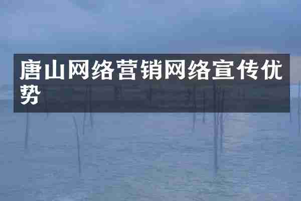 唐山网络营销网络宣传优势